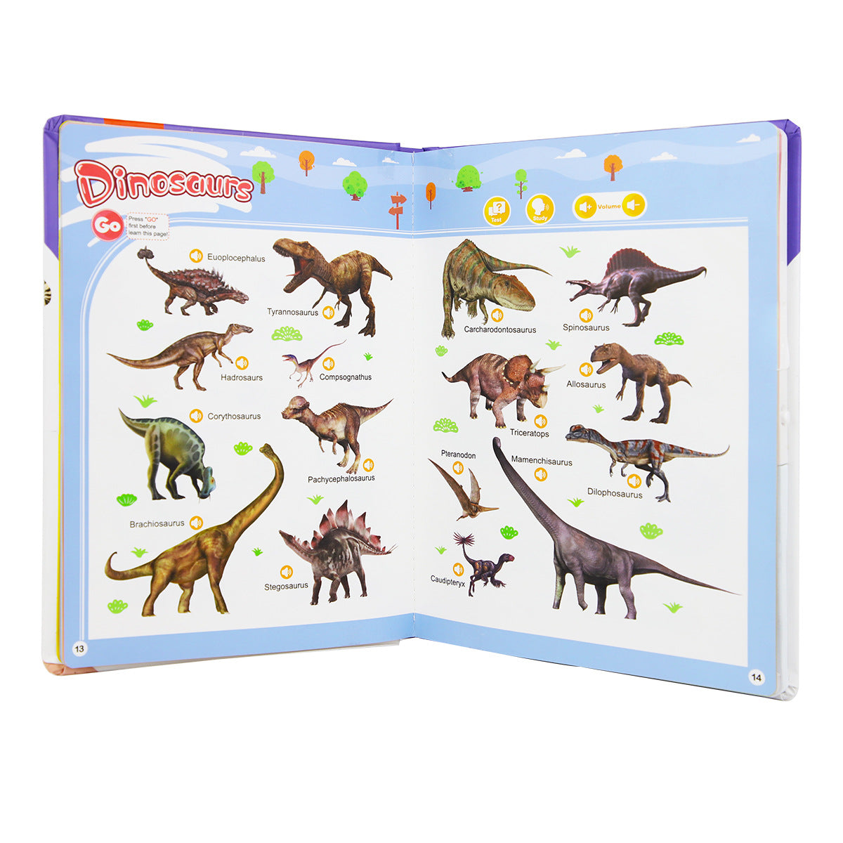 English Word Point Reading - Learning Book for Children