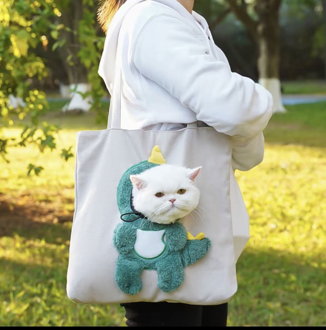 Pet carrier bag