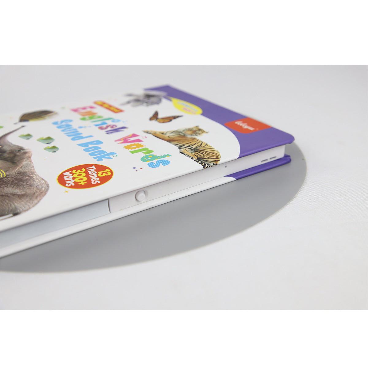 English Word Point Reading - Learning Book for Children
