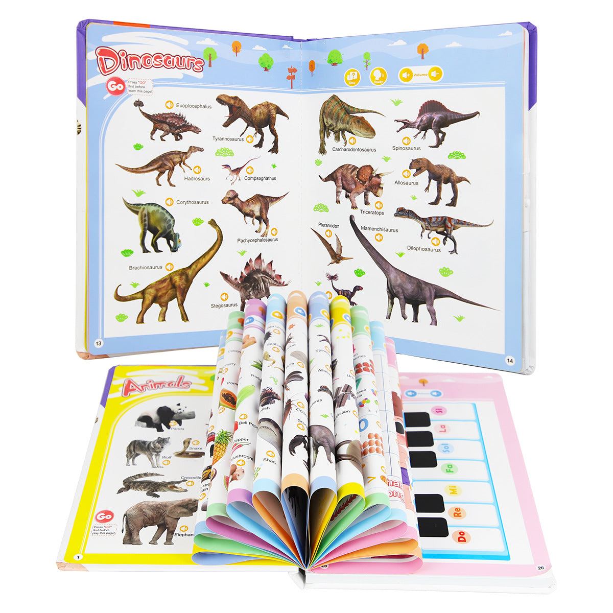 English Word Point Reading - Learning Book for Children